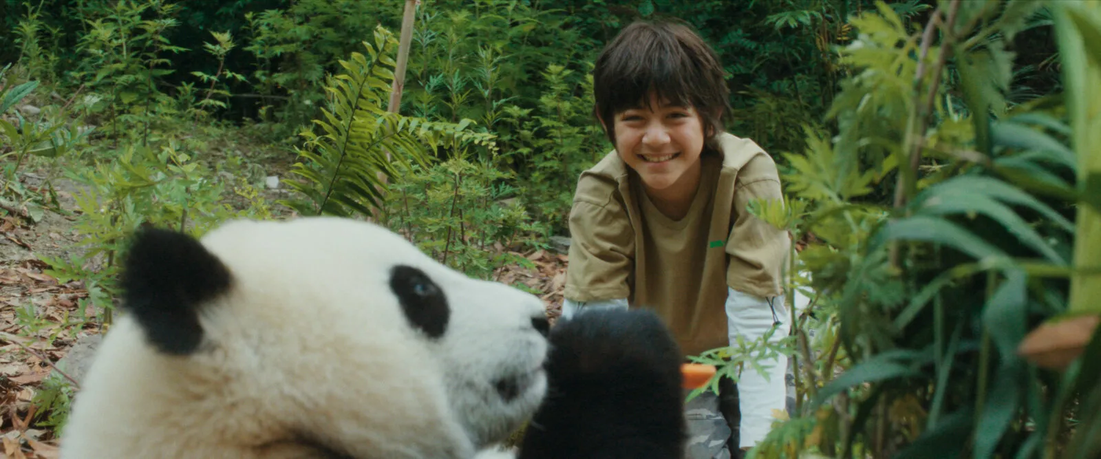 Moon, der Panda
